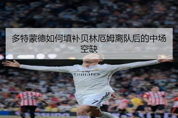 多特蒙德如何填补贝林厄姆离队后的中场空缺